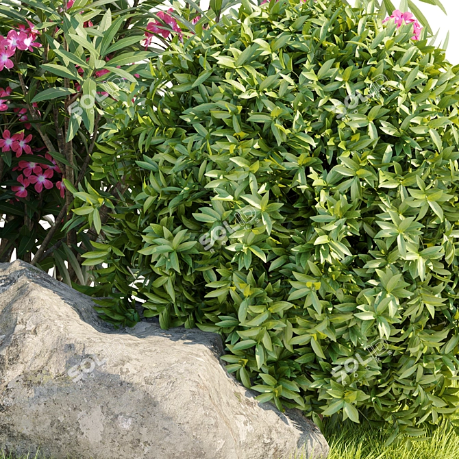  Premium Laurel Hedging Bushes 3D Model 3D model image 2