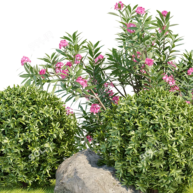  Premium Laurel Hedging Bushes 3D Model 3D model image 4