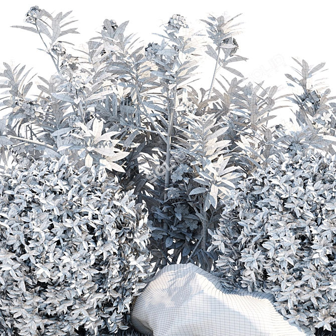  Premium Laurel Hedging Bushes 3D Model 3D model image 7