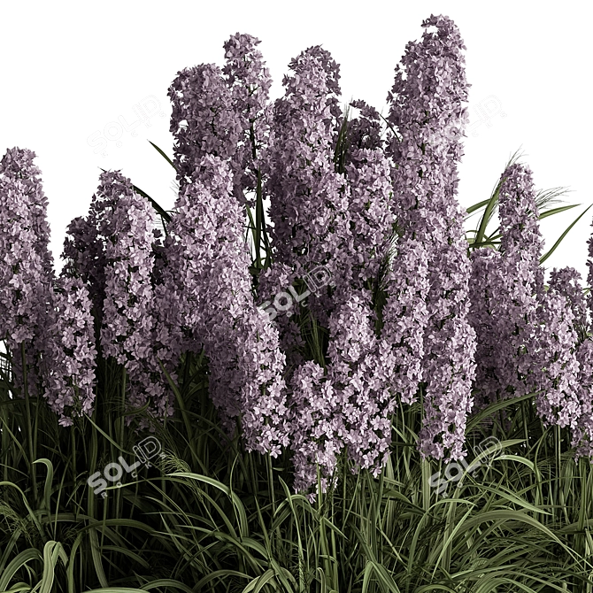 Purple Hyacinth Bush Set 84 3D model image 2