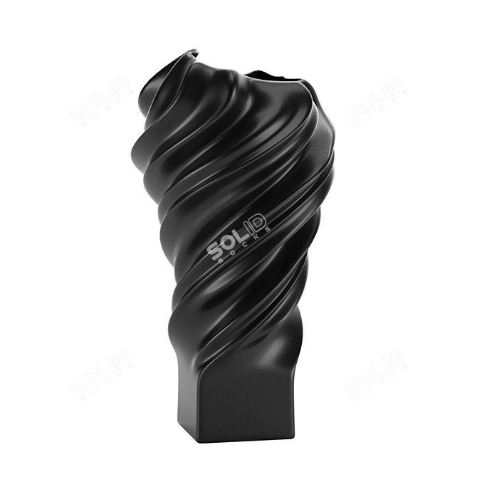 Rose Squall Matt Black Vase 3D model image 1