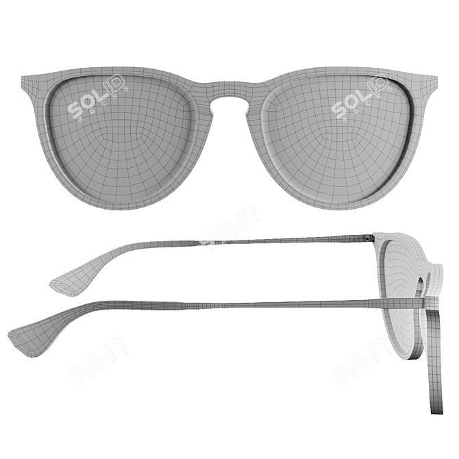 RayBan Erika Sunglass Model Kit 3D model image 2