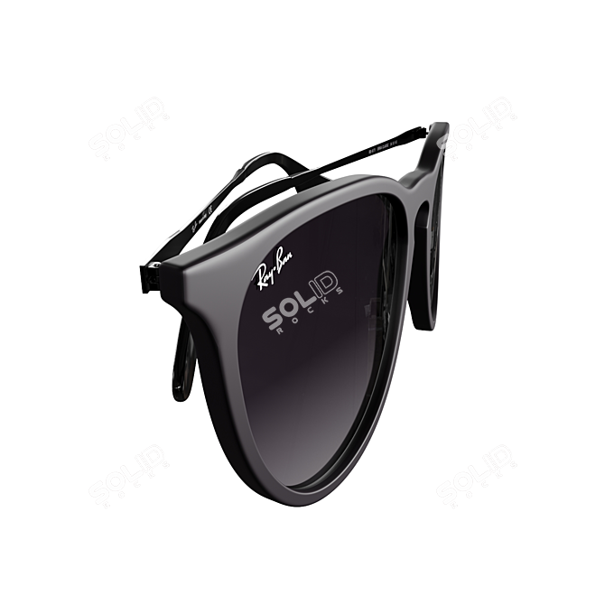 RayBan Erika Sunglass Model Kit 3D model image 6