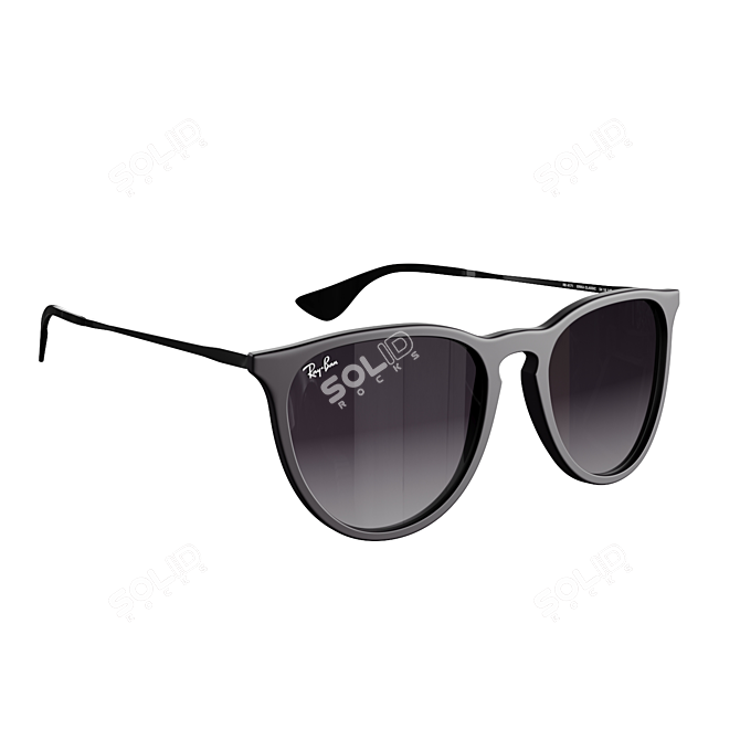 RayBan Erika Sunglass Model Kit 3D model image 7