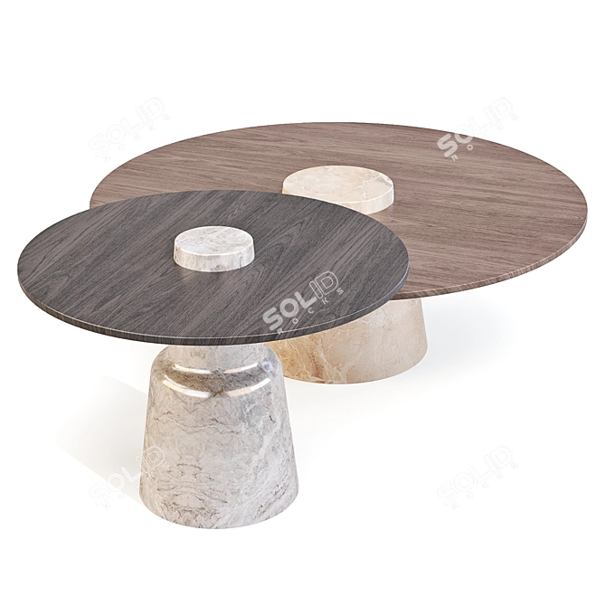 Tacchini Mill Coffee Side Table 3D model image 3