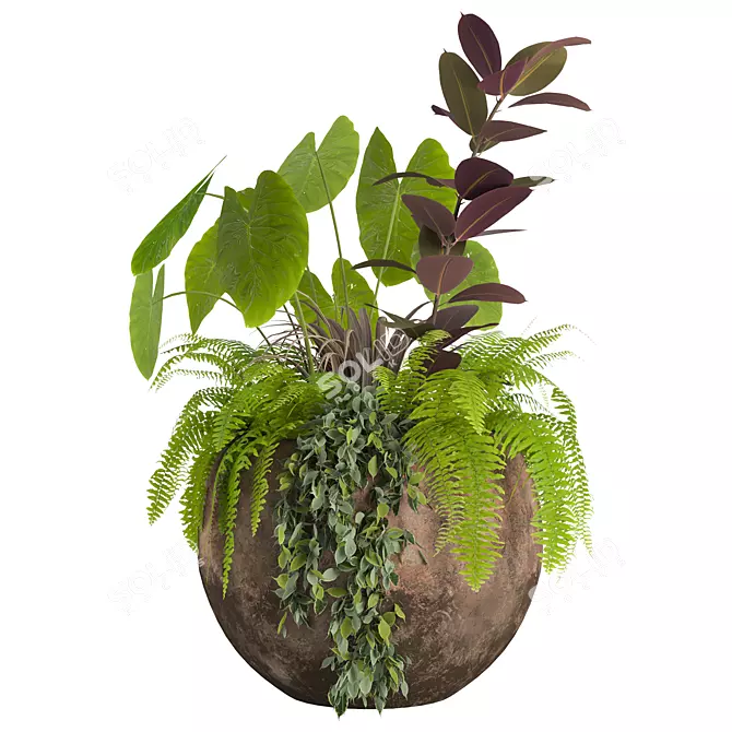  2013 Outdoor Plants Set display 3D model image 1