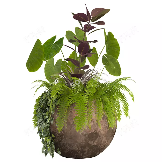  2013 Outdoor Plants Set display 3D model image 3