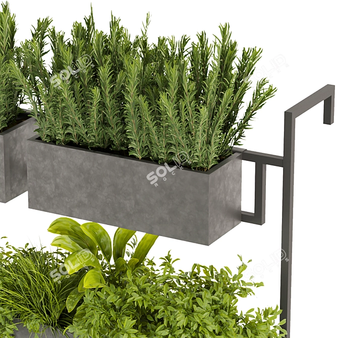 3D Plant Collection Pack - Box Plant & More 3D model image 2