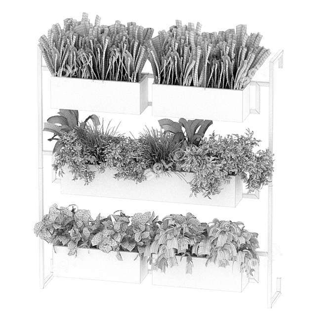 3D Plant Collection Pack - Box Plant & More 3D model image 6