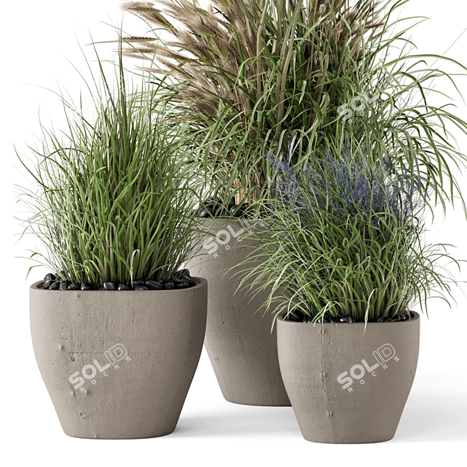 Rusty Concrete Pot Indoor Plants 3D model image 2