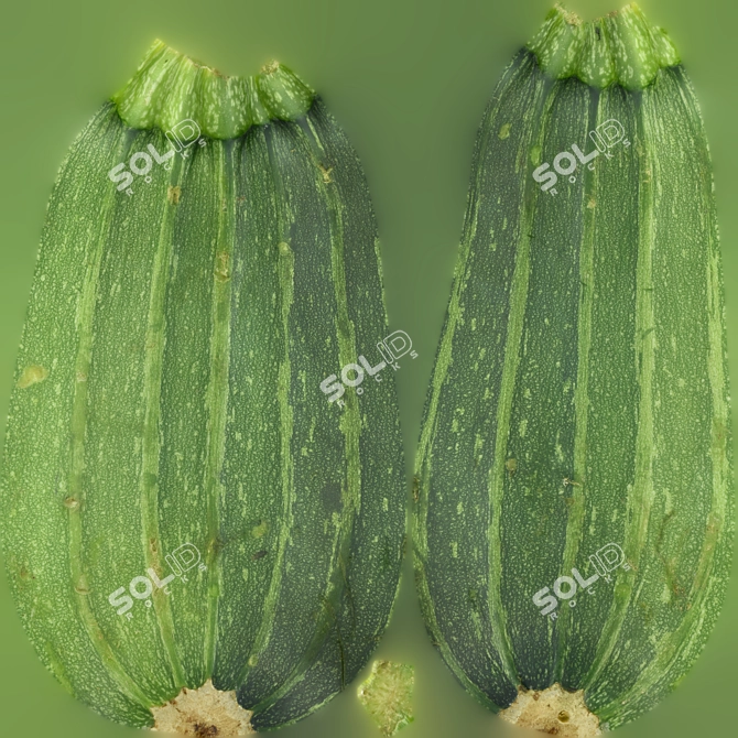 Title: Mesh Squash TurboSmooth Ready 3D model image 3