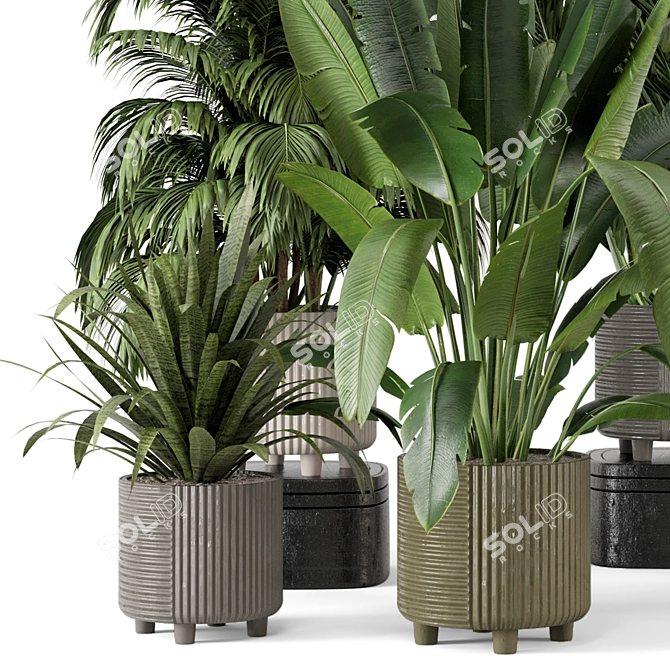 Cecilia Ficonstone Planters Set 869 3D model image 6