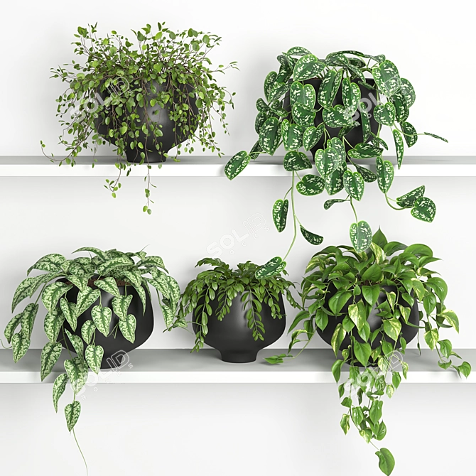 Floating Plant Shelf 2: 185 x 88 x 180 cm 3D model image 1