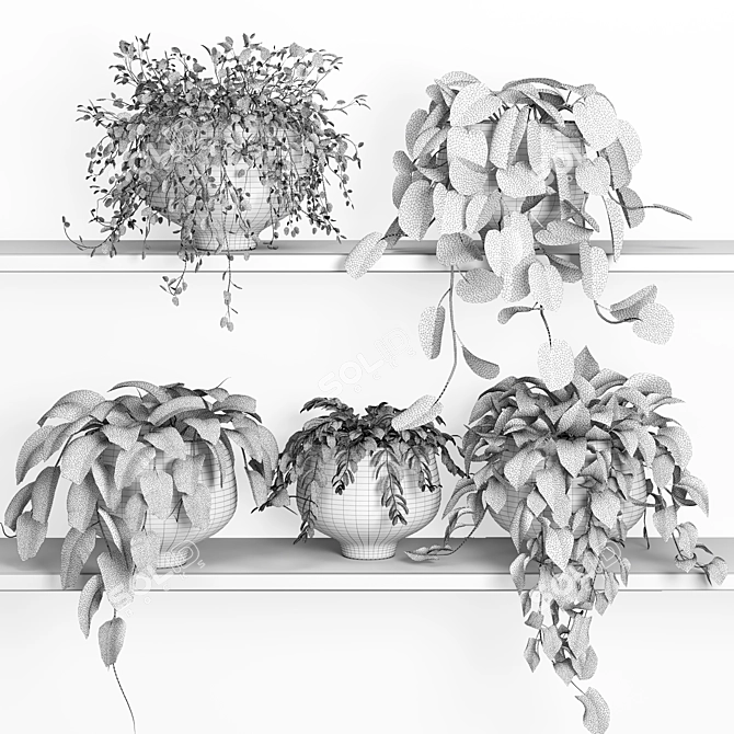 Floating Plant Shelf 2: 185 x 88 x 180 cm 3D model image 2