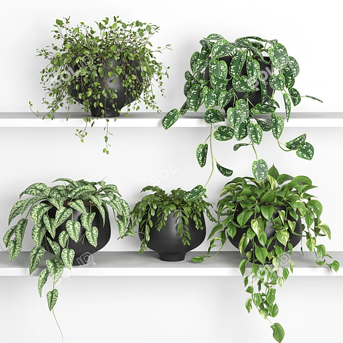 Floating Plant Shelf 2: 185 x 88 x 180 cm 3D model image 3