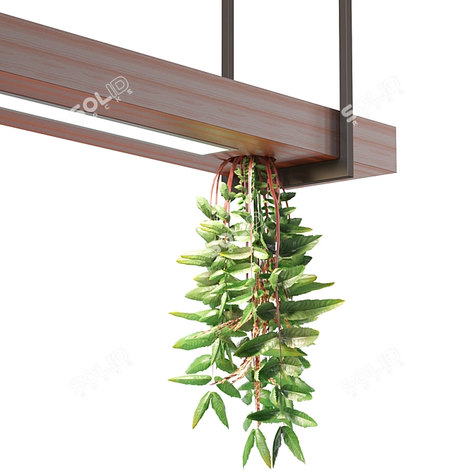 Modern Pendant Light with Hanging Plant 3D model image 2