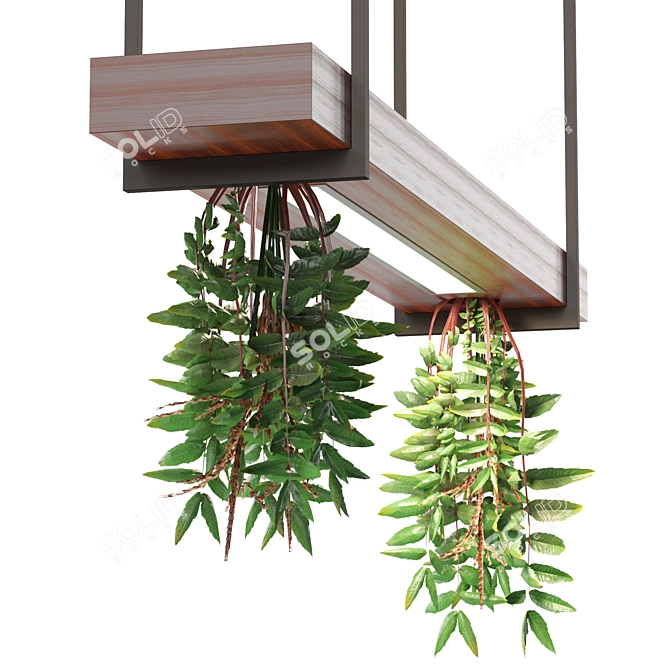 Modern Pendant Light with Hanging Plant 3D model image 3