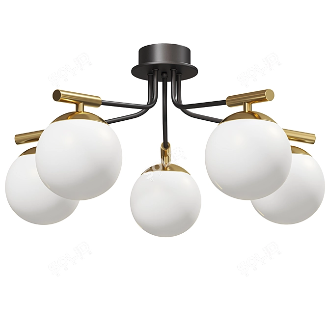 Paolina Ceiling Chandelier Glass Shades 3D model image 5