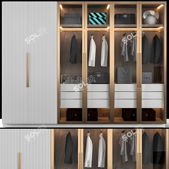 ELEGANT DECORATIVE ELEMENTS WARDROBE 3D model image 1