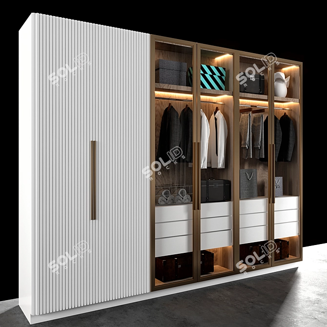 ELEGANT DECORATIVE ELEMENTS WARDROBE 3D model image 2