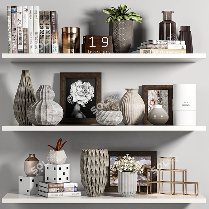 Versatile Decorative Shelf Set 3D model image 1