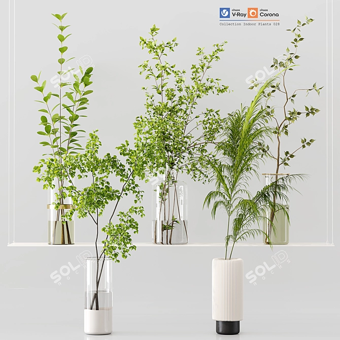 Premium Indoor Plants Collection 3D 3D model image 1