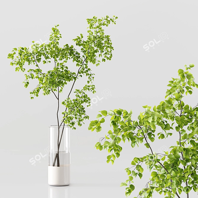 Premium Indoor Plants Collection 3D 3D model image 2