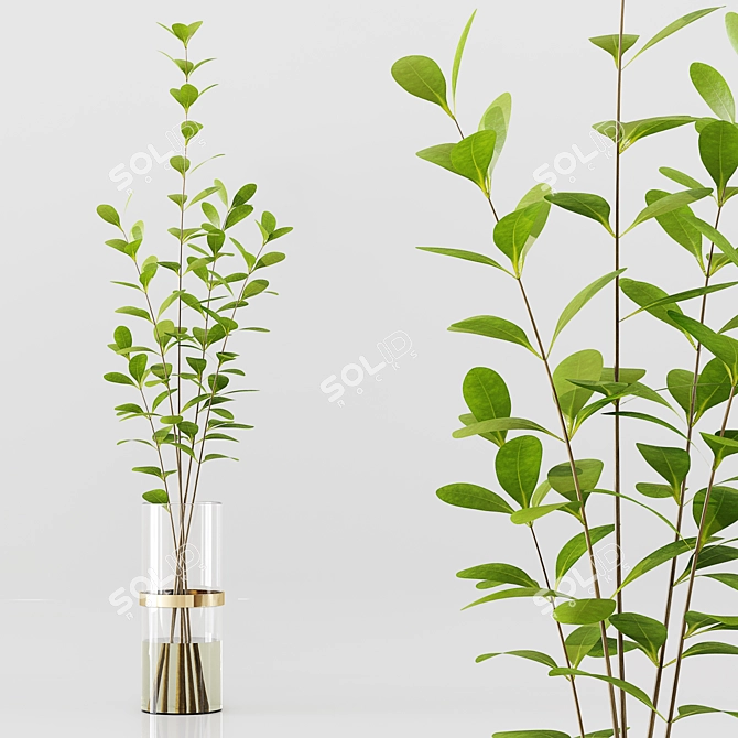 Premium Indoor Plants Collection 3D 3D model image 5