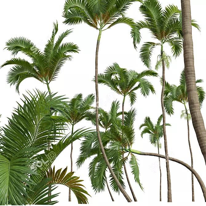 Exquisite Areca Catechu Palm Art 3D model image 4