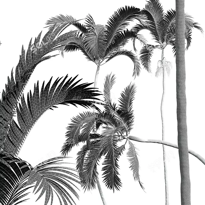 Exquisite Areca Catechu Palm Art 3D model image 5