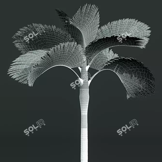 Exquisite Areca Catechu Palm Ensemble 3D model image 6