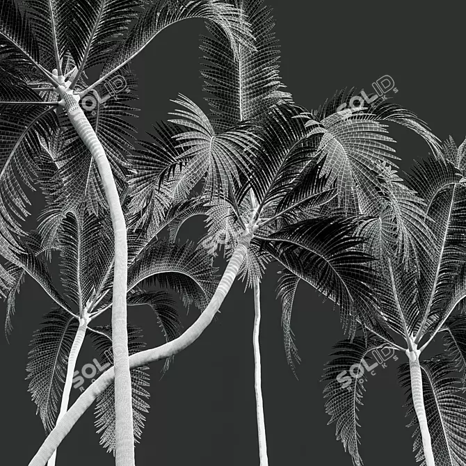 Exquisite Areca Catechu Palm Tree 3D model image 6
