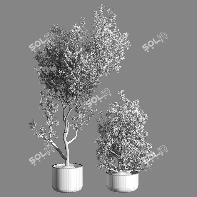 Title: Indoor Plants Collection Set 3D model image 2