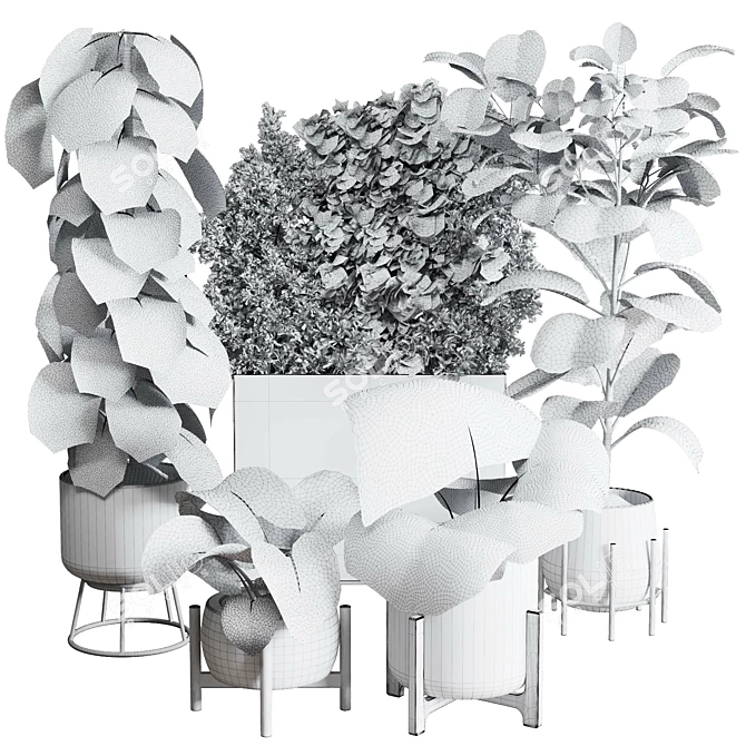 Urban Jungle Collection: Ficus Monstera Palm 3D model image 5