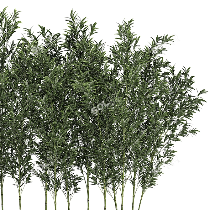 Unique product title: Bamboo Groves for Outdoor and Interior 3D model image 2