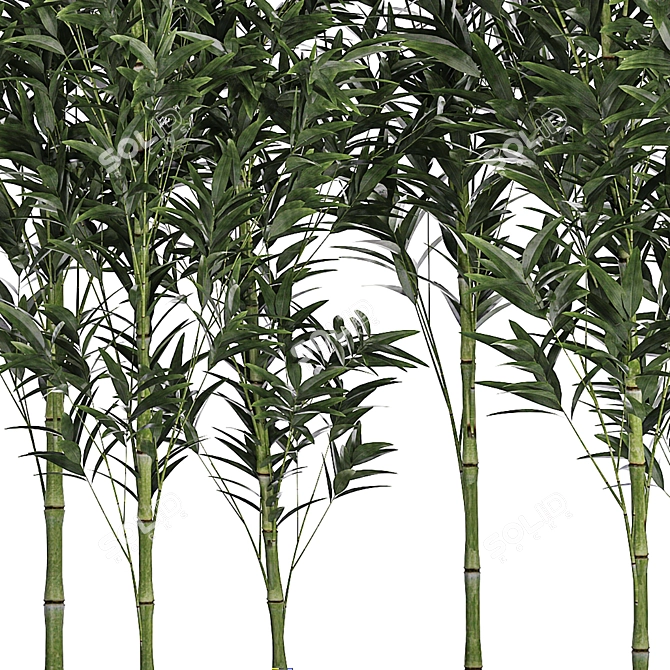 Unique product title: Bamboo Groves for Outdoor and Interior 3D model image 4