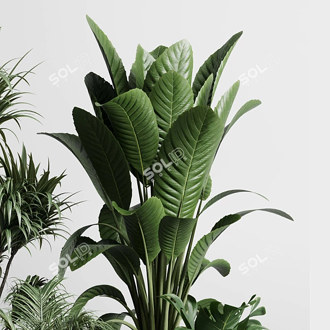 Modern Indoor Plant Collection Vase 3D model image 4