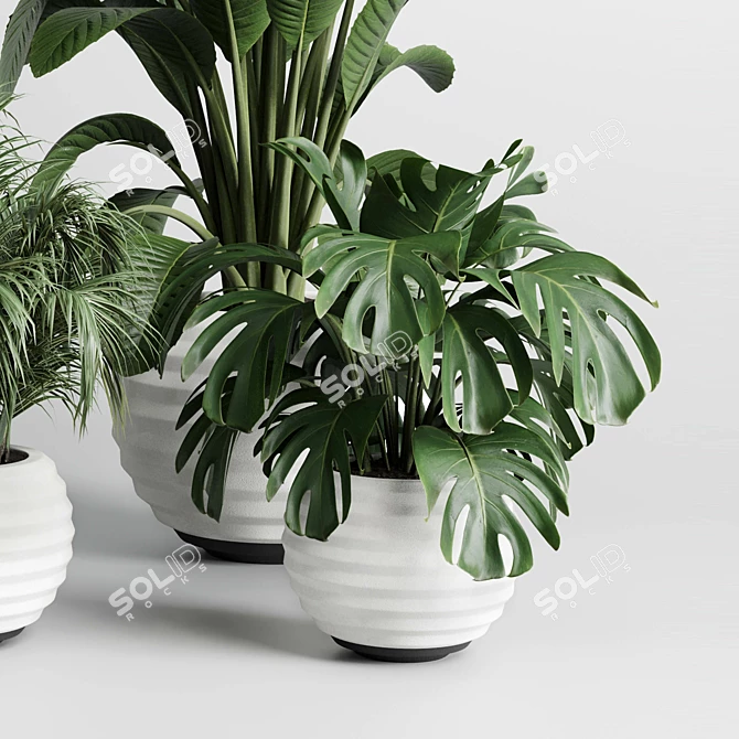 Modern Indoor Plant Collection Vase 3D model image 5