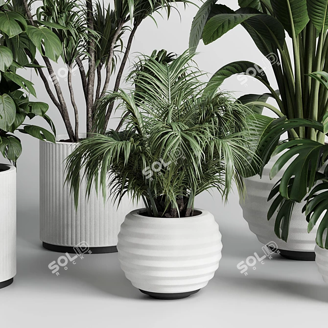 Modern Indoor Plant Collection Vase 3D model image 6