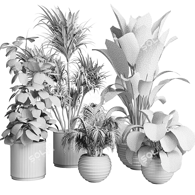 Modern Indoor Plant Collection Vase 3D model image 7