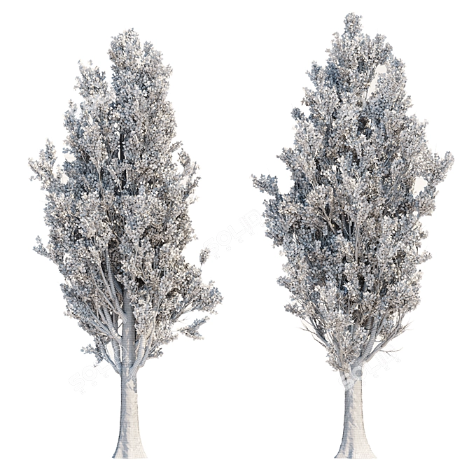 High PBR Poplar Trees Bundle 3D model image 6