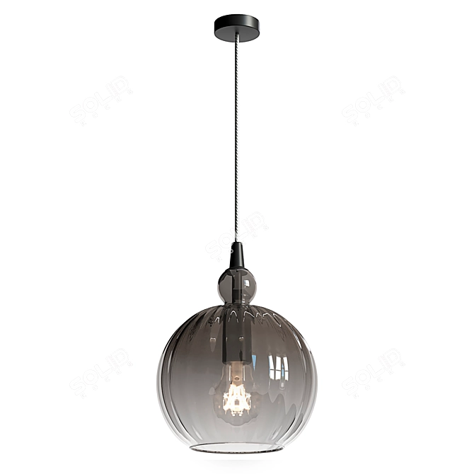 Smoked Glass Pendant Light Fixture 3D model image 1