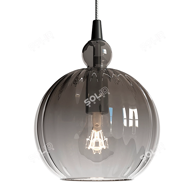 Smoked Glass Pendant Light Fixture 3D model image 2