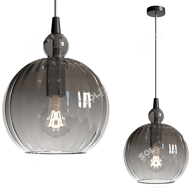 Smoked Glass Pendant Light Fixture 3D model image 3