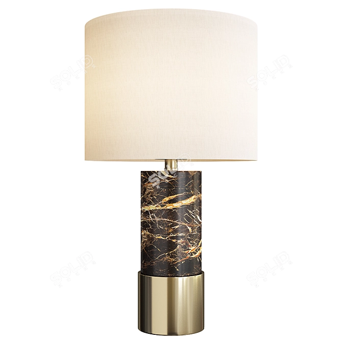 Elegant Resin Table Lamp 3D model image 1