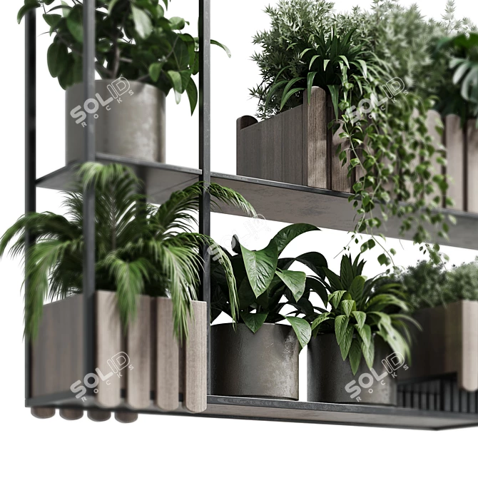 Modern Hanging Box Potted Plants 3D model image 2