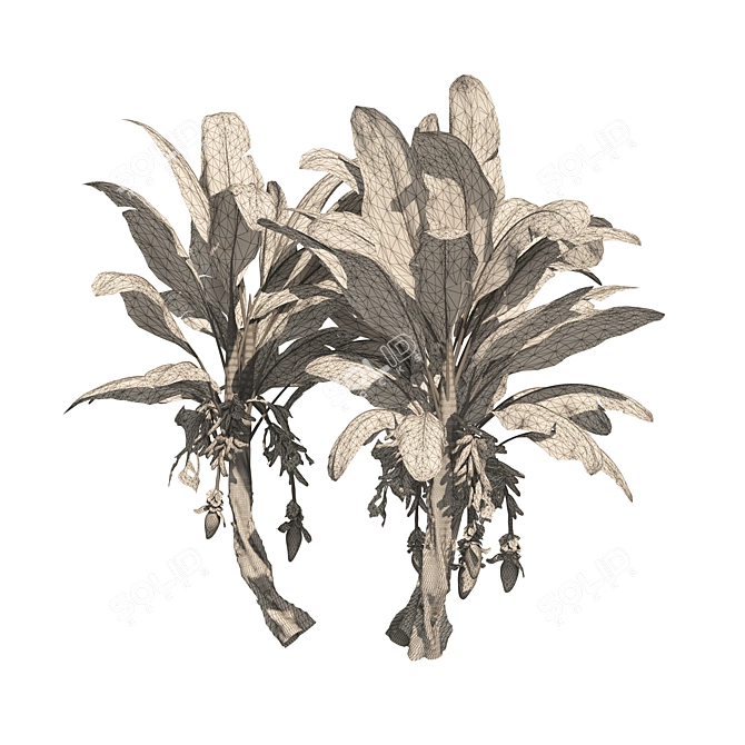 Banana Tree Cluster 3D Model 3D model image 6