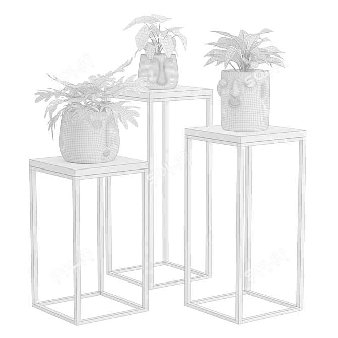 Exotic Facepot Plants Set with Stand 3D model image 1