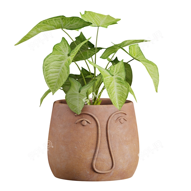 Exotic Facepot Plants Set with Stand 3D model image 2