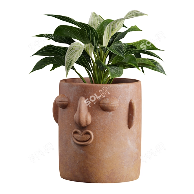 Exotic Facepot Plants Set with Stand 3D model image 3